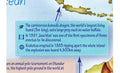 Facts from the Childrens Illustrated Trivia World Map